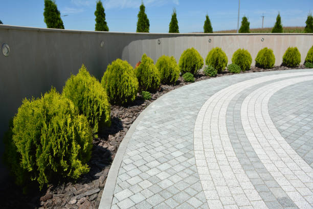 Best Driveway Paving Near Me  in Liolnton, NC